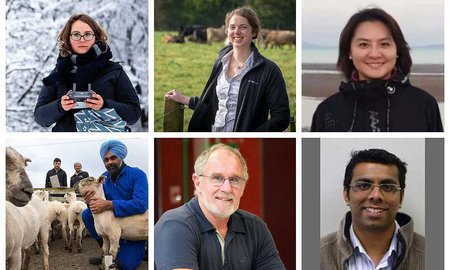 Massey wins big at tertiary tech competition - image1