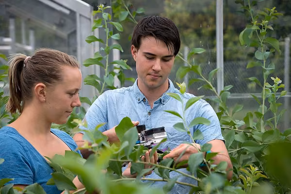  Massey University ranked 34 in QS World ranking for Agriculture and Forestry - image1