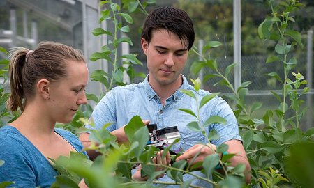 Massey University ranked 34 in QS World ranking for Agriculture and Forestry - image1
