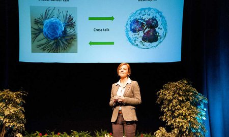 Breast cancer PhD research wins Massey 3MT  - image1