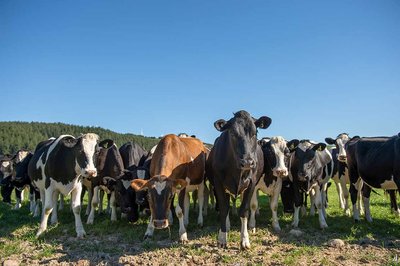 Agrifood sector is tech-savvy but not ready for major disruption - image2