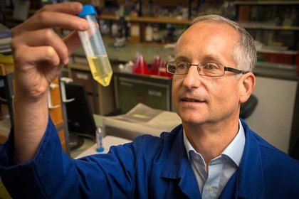 Deadly pathogen to cure itself? - image1