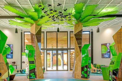 Wildbase Recovery Centre