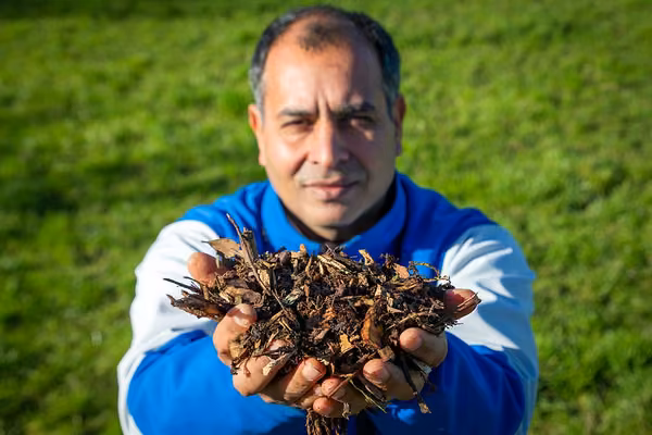 Study explores ways to reduce nitrogen losses to waterways - image1