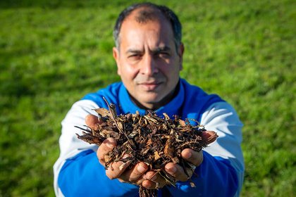 Study explores ways to reduce nitrogen losses to waterways - image1