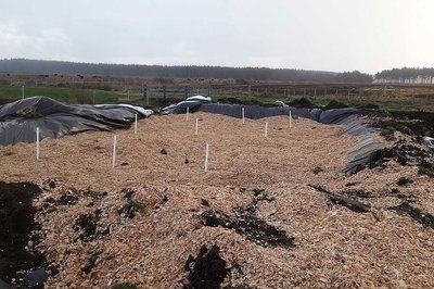 Study explores ways to reduce nitrogen losses to waterways - image3