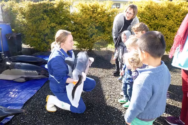 Massey’s next generation of marine scientists - image1