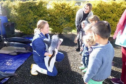 Massey’s next generation of marine scientists - image1