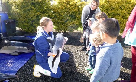 Massey’s next generation of marine scientists - image1