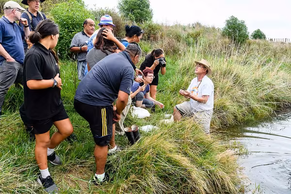 Improving water quality in King Country key aim for Massey professors  - image1