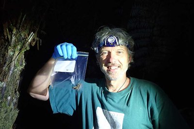 Armstrong-Doug-frogs