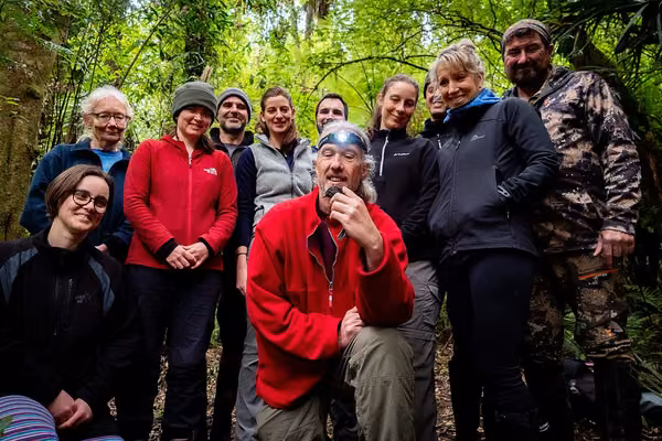Massey researchers help to reintroduce Robins to Turitea Reserve - image1