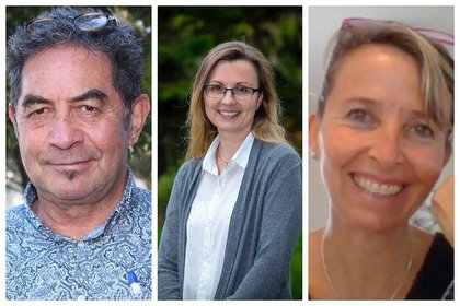 Study on motivations of non-Māori to learn te reo - image1