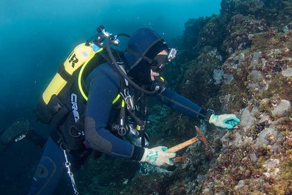Coral reefs may have refuge in deeper water - image1