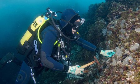 Coral reefs may have refuge in deeper water - image1