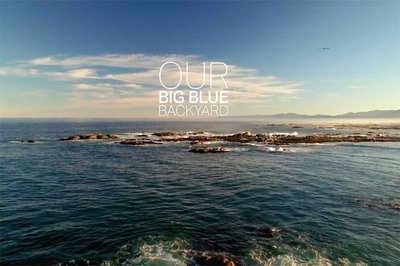 Our Big Blue backyard.