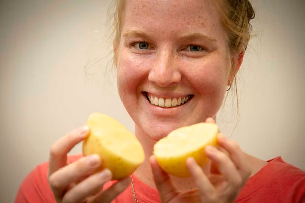 Potato study needs you - image1