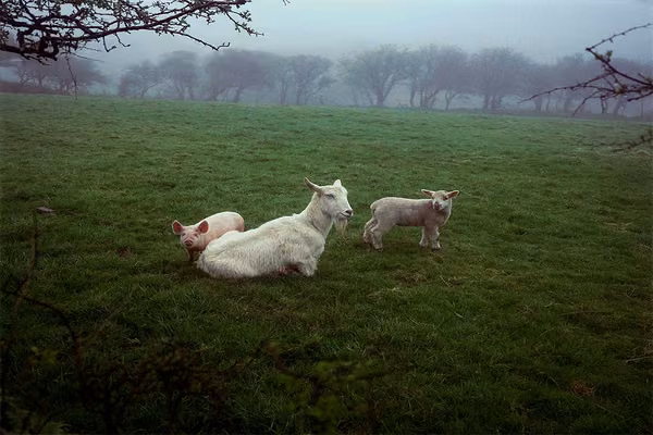 Landscape specialist to give annual photography lecture - image1