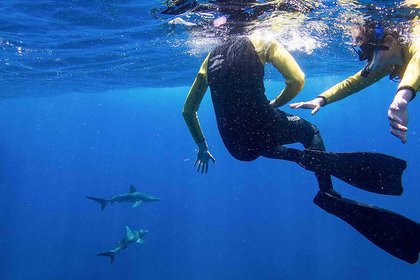 Students and teachers on science voyage to Kermadec Islands - image1