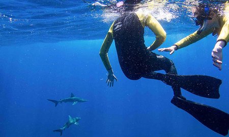 Students and teachers on science voyage to Kermadec Islands - image1