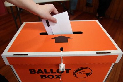 The Māori election  - image1