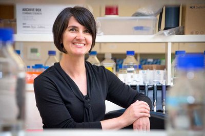 Massey projects receive $7.45m from Marsden Fund - image3