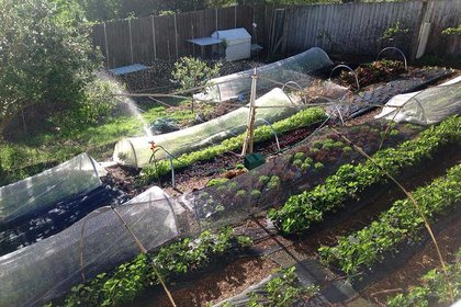 Urban farming the focus of $100,000 research award - image1