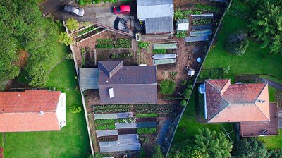 Urban farming the focus of $100,000 research award - image2