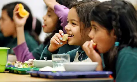 Massey offers expert advice on healthy school lunches - image1