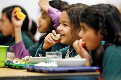 Massey offers expert advice on healthy school lunches - image1