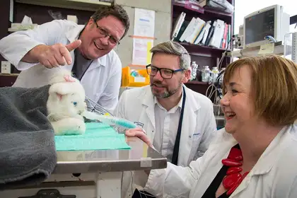 Labour MPs briefed by animal welfare science team - image1