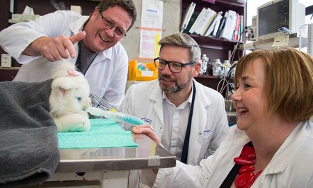 Labour MPs briefed by animal welfare science team - image1