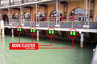 Students help in damaged seawall repair - image2