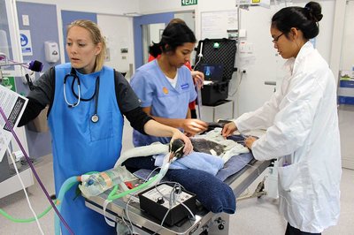 Long stay at Wildbase almost over for penguin - image2