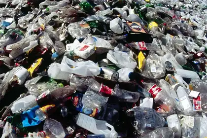 What should NZ do about plastic waste? – webinar explores - image1