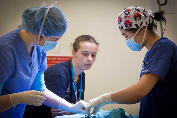 Massey de-sexing clinic receives national award - image1