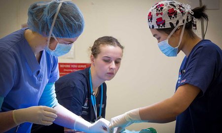 Massey de-sexing clinic receives national award - image1