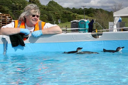 Compassion fatigue low in wildlife carers - image1