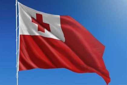 University steps in to support Tongan democracy  - image1