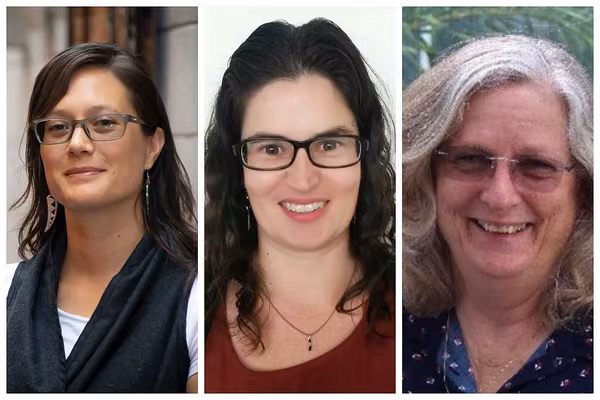 Three Massey academics awarded HRC funding to further research - image1