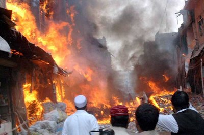 Moving to NZ: An international student's experience - image2