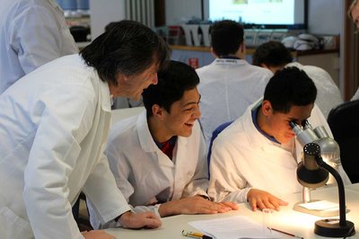 Massey Academy joins Āmua Ao programme - image2