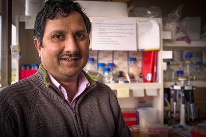 Plant cytogenetics nabs $10k study award - image1