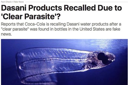 How to protect your business from fake news - image1