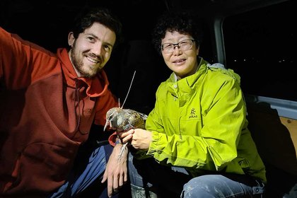 Researcher explores how vulnerable native birds use mangroves - image1
