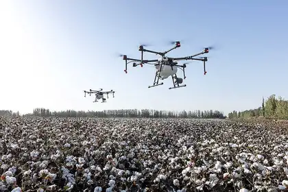 Drone over a field