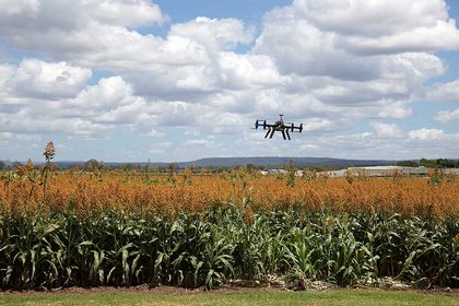 Drone over a field