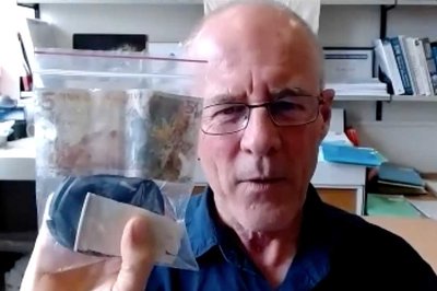 ‘$5 penguin’ highlights threat to marine life - image2