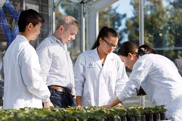 Professor Jason Wargent (second from left) of the School of Agriculture and Environment, and Chief Science Officer and Founder of BioLumic, is pictured with students in the lab.