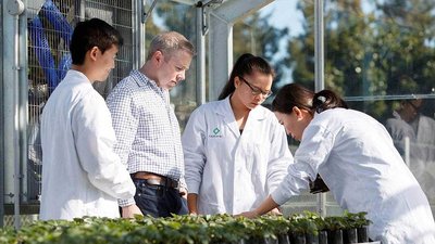 Professor Jason Wargent (second from left) of the School of Agriculture and Environment, and Chief Science Officer and Founder of BioLumic, is pictured with students in the lab.